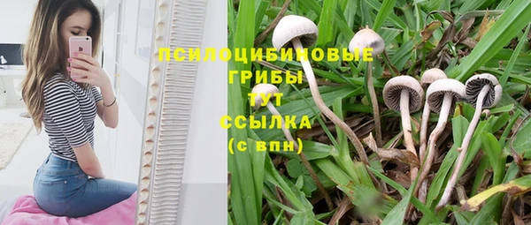 наркотики Зерноград